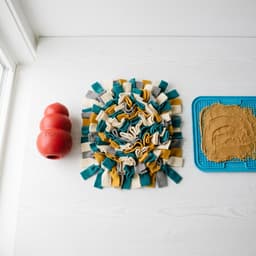 Najlepsze zabawki dla psa z lękiem separacyjnym – Kong, Lickimat i co jeszcze?